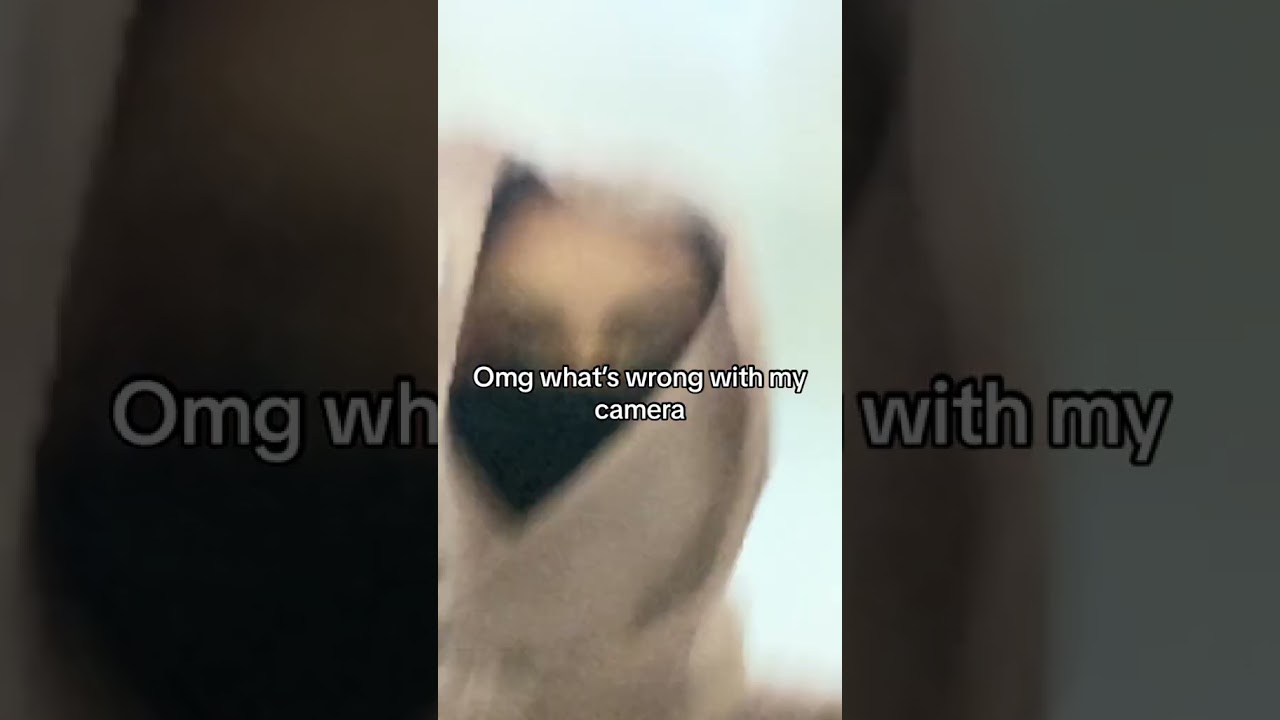 Bored and young ;) and h..ny  