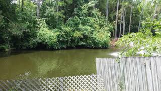 4017 Laurelwood Dr Jacksonville, FL 32257 - Single Family - Real Estate - For Sale 4017 Laurelwood Dr Jacksonville, FL 32257 - Single Family - Real Estate - For Sale