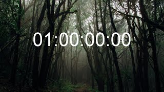 1 Hour - TIMER \& ALARM - 1080p - COUNTDOWN
