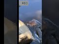 TOP videos fishing #fishing #fish #twolessfishinthesea