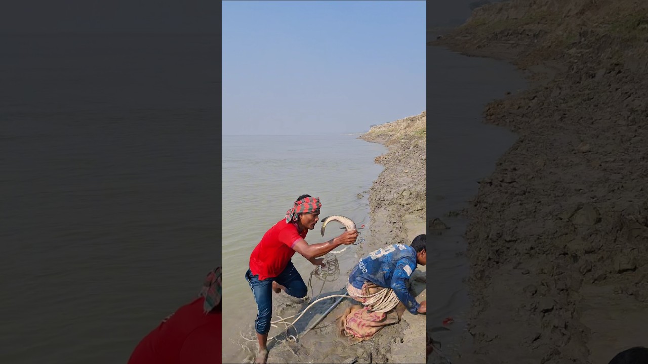Fishing in the Padma River with a strange idea #fishing #river