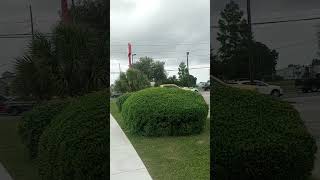 #gangstalking perp walk 04/19/2024 Pt. 4