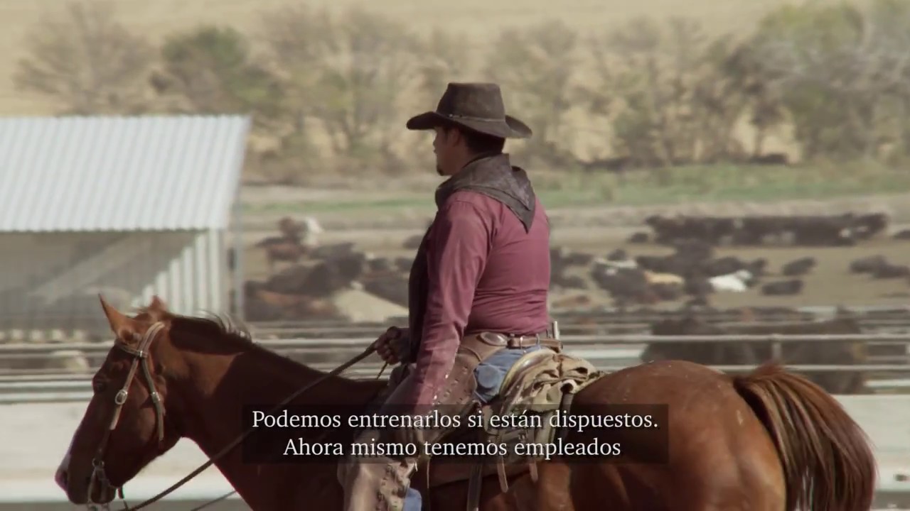 Gottsch Livestock Feeders Feedlots Spanish Subtitles Youtube