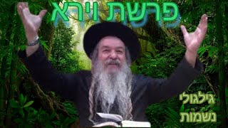 פרשת השבוע וירא, האם הנהרגים על קידוש השם חוזרים בגילגול?