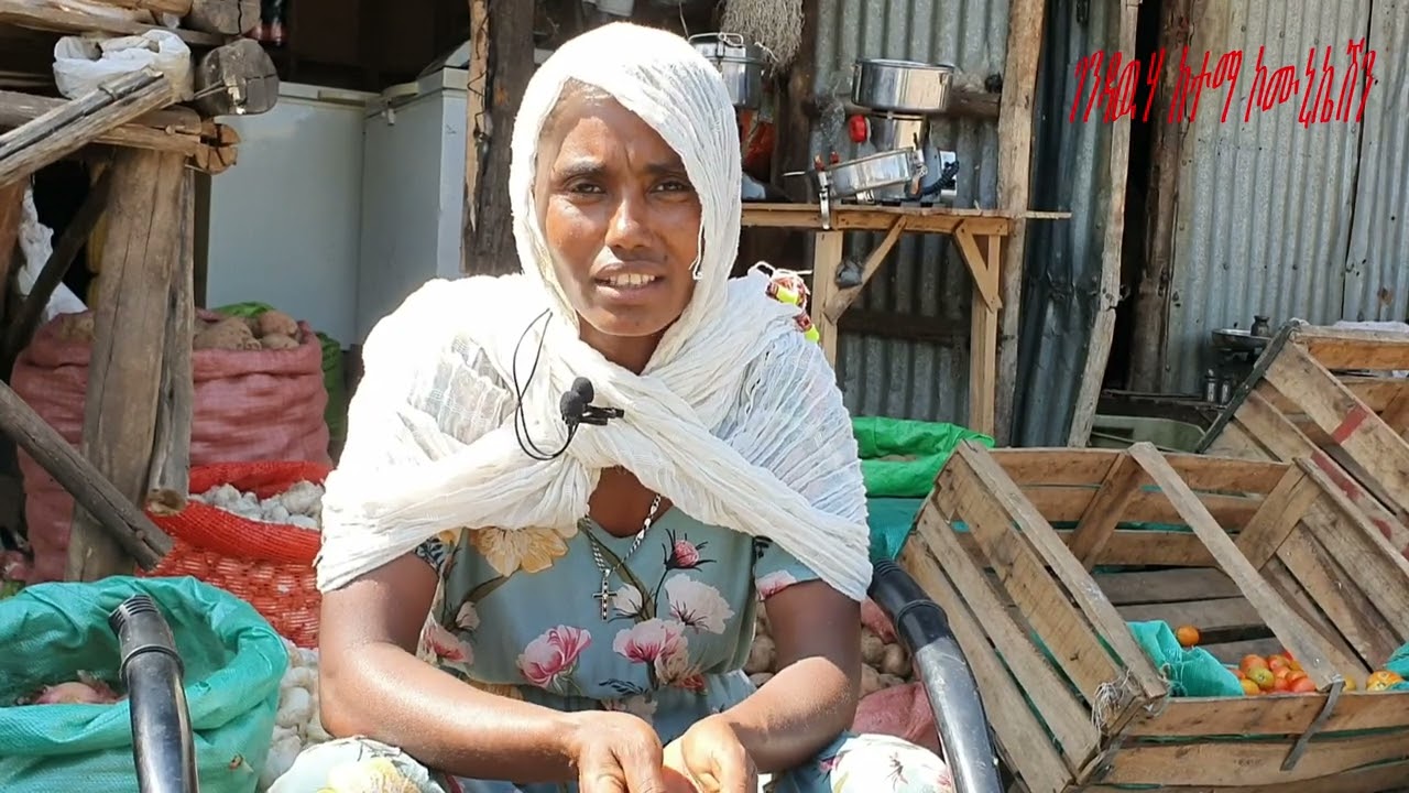 በምዕራብ ጎንደር ዞን ገንዳዉሃ ከተማ አስተዳደር ምግብ ዋስትና ልማታዊ ሴፍቲኔትማስተባበሪያ ጽ/ቤት የተዘጋጀ ፕሮግራም