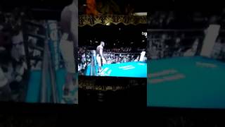 سيرفر L7 Ip tv  الخاص بالتايجر Z98 PRO  مجانا لمدة سنة و 3 أشهر screenshot 2