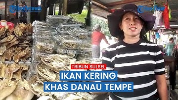 Yuk Intip Pusat Penjualan Ikan Kering Khas Danau Tempe! Rasanya Berbeda