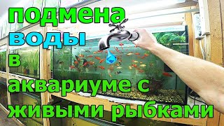 Как, когда и сколько менять воды в аквариуме