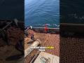 “Kalau Rantai Ini Bergerak… Tidak Ada Waktu Untuk Lari!” #kapal #kapalbesar #faktaunik