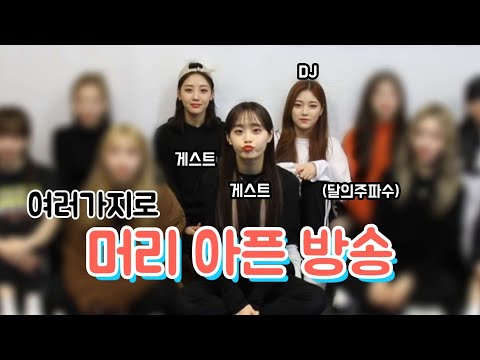 [이달의소녀] 애옹 살려주세옹...
