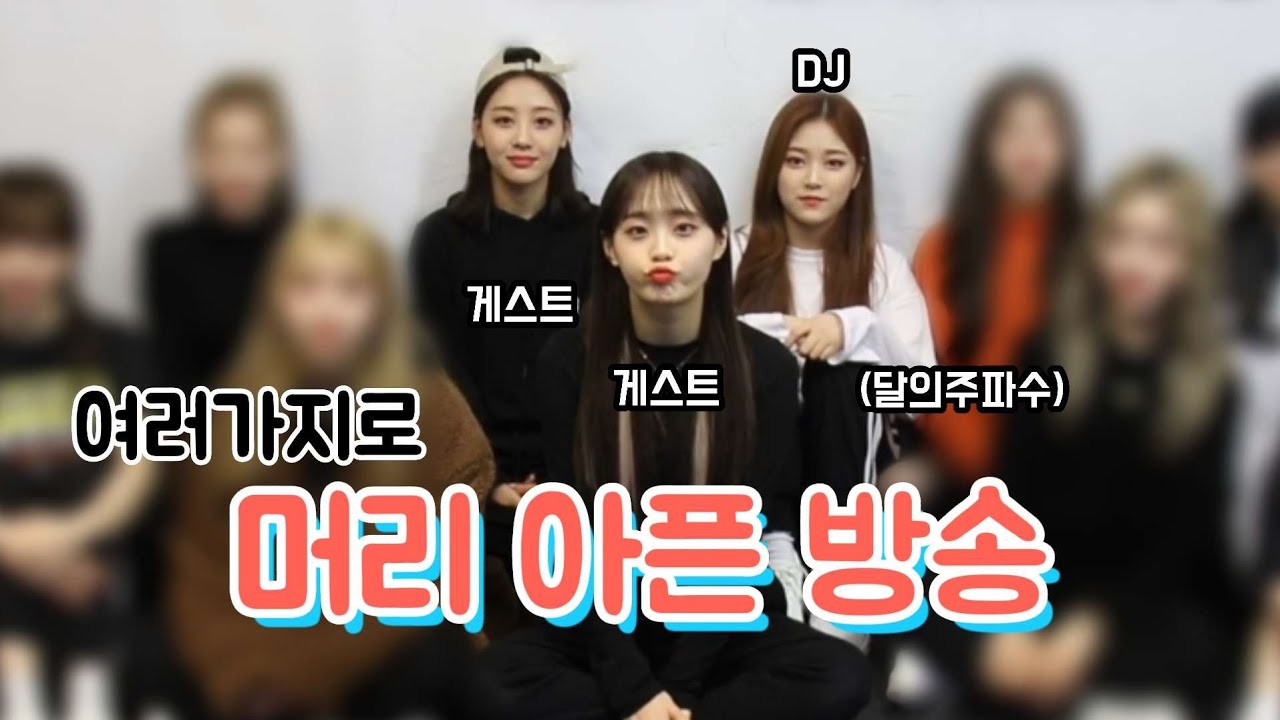 [이달의소녀] 애옹 살려주세옹...