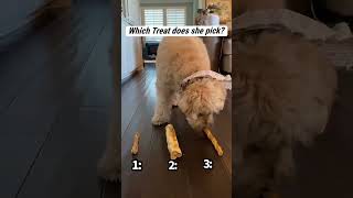 Which Treat Does Jessii Pick? 🐶 @Thejessiishow #Themanniishow.com/Series