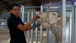 Fixační Klec Pm2400