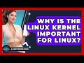 Why Is The Linux Kernel Important For Linux? - All About Operating Systems