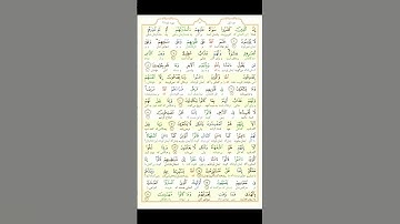 آیت 009 سوره بقره/ ترجمه تحت الفظی قرآن کریم