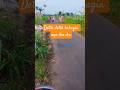 Detik detik melihat kebahagiaan #Shorts #hiburan #bahagiaitudekat