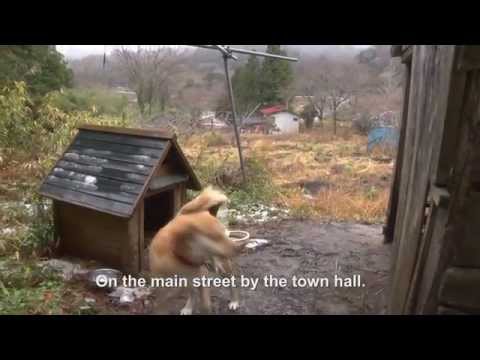 Hidden Contamination -Trailer 【2015 Documentary Film】