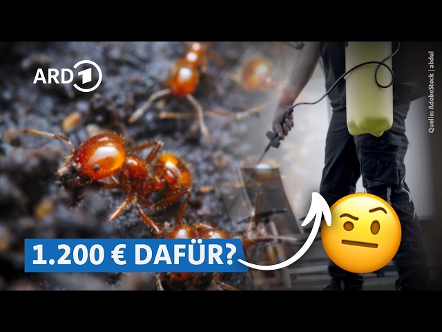 Vorsicht bei Handwerker-Vermittlungsseiten online! | Marktcheck SWR