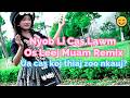 Nyob Li Cas Lawm Os Leej Muam Remix　Điệu nhảy chữa lành tuyệt đẹp 💖💖💖　ベトナム 少女ダンス