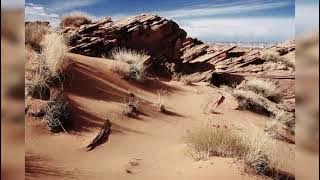 Durban finest - Tell my story