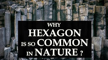 Why Hexagon Are So Common In Nature