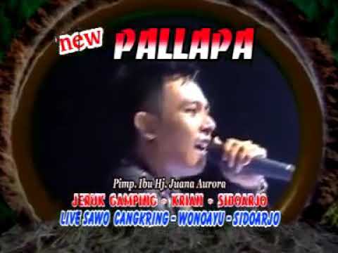 Racun asmara new pallapa live wonoayu sidoarjo 2015