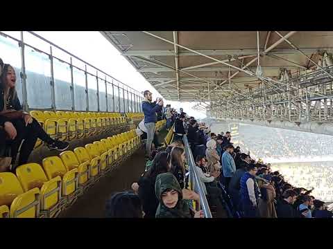 Fenerbahçe Ülker Stadında Taraftara Açık Antrenman!