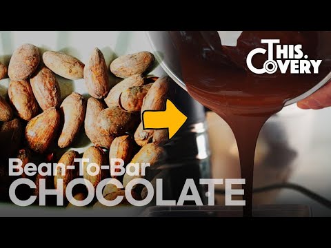 Cacao Bean → Handmade Chocolate [THISCovery EP.0] (ENG SUB)