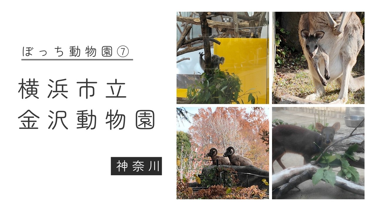 ぼっち動物園⑦横浜市立金沢動物園