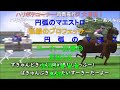 うまぴょい伝説 カオス競馬Ver2(コメント付き)