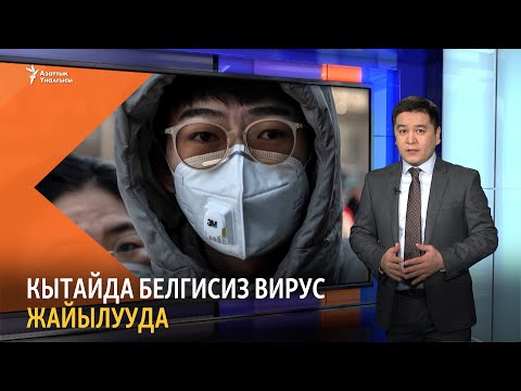 Video: Кайсысы кеңири жайылган сөздүн эң жакын синоними?