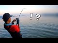 アカメ釣行でまさかの巨大魚が・・・【高知県】