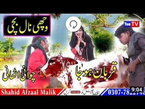 Funny Video Chawani Athaani Wachi Naal Bachi Punjabi Funny NUMBER DAAR STUDIO