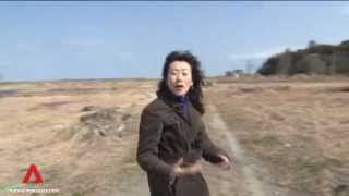 Japan marks second tsunami anniversary