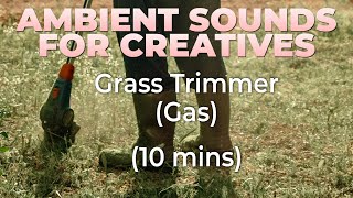 Free Ambient Sound: Grass Trimmer screenshot 4
