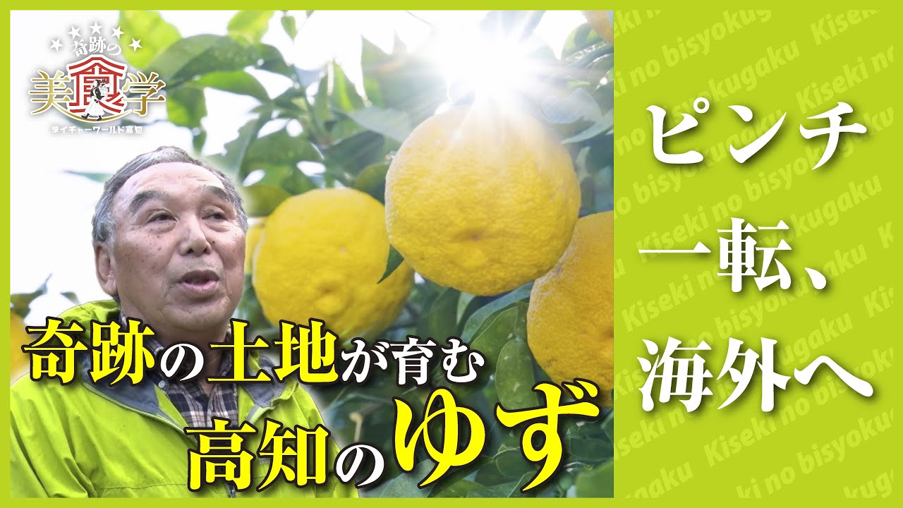高知はゆずの奇跡の土地！ピンチから海外へ進出【奇跡の美食学】