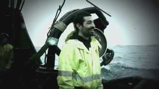 Deadliest Catch: Josh Harris and the Cornelia Marie Return Net Worth