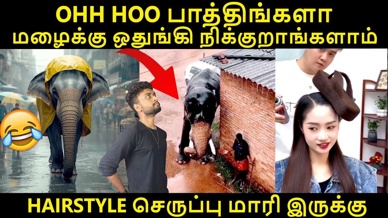 Innaiku Ennalam Panna Porano😂 | Cringe Videos😜 | Funny Videos😜| Funny Reaction By Shamy