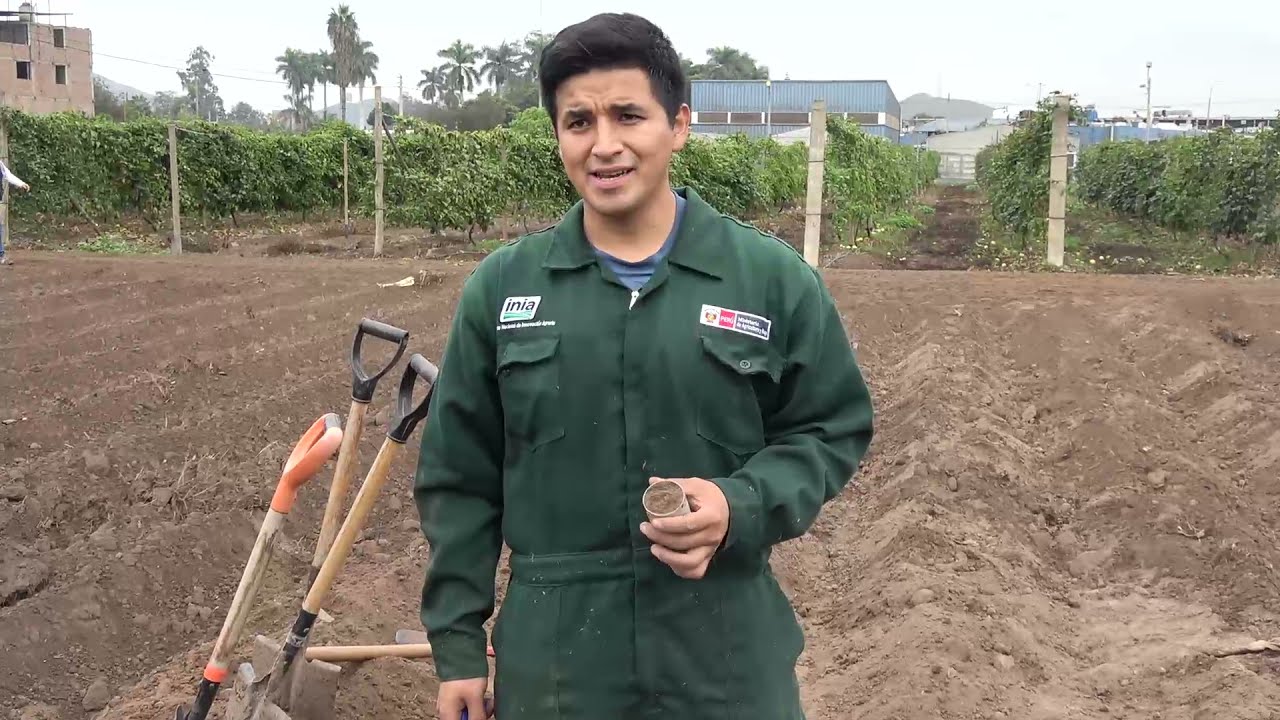 Densidad aparente del suelo, método del cilindro de volumen conocido