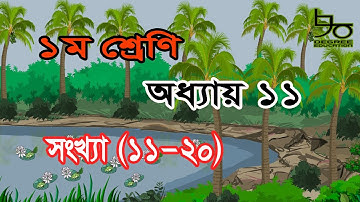 ১ম শ্রেণির গণিত অধ্যায় ১১ (ডিজিটাল কন্টেন্ট) সমাধান | সংখ্যা ১১-২০ |Class 1 Math Chapter 11| Numbers