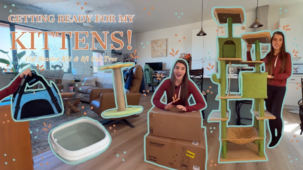 Обустройство дома для котенка | Стартовый набор для кошки и кактусовое дерево для кошек!