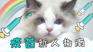 这几种情况下绝对不可以给猫打疫苗！猫咪疫苗必修课 by 麻辣德文 211 views 3 years ago 12 minutes, 17 seconds