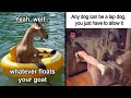 Funny And Awkward Animal Posts That Might Make Your Day Much Better