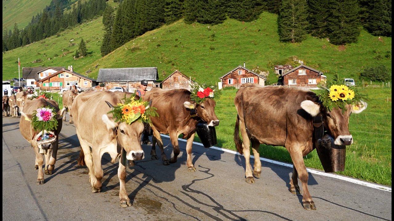 Bodäfahrt Urnerboden 2025