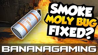 CS:GO News: Smoke bug fixed New Crosshair and more!