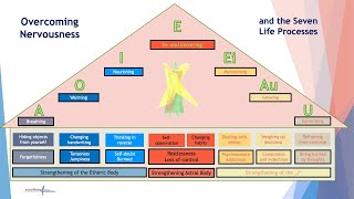 The seven life processes, Rudolf Steiner's exercises against nervousness and ABSR stress release