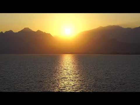 シークレットコード