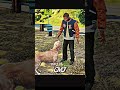 Franklin Is a Animal Whisperer