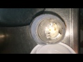 超簡單免費的 除掉蟑螂的好方法. 抓起來放生