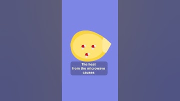 Why Does Popcorn Pop? Discover the Science!